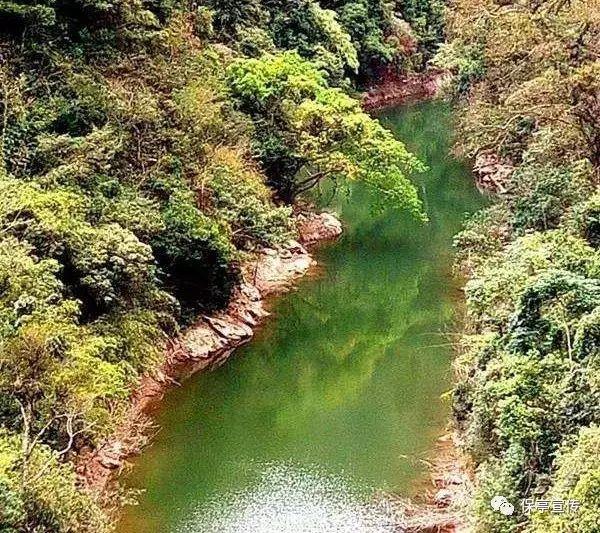 水果甜心经典版